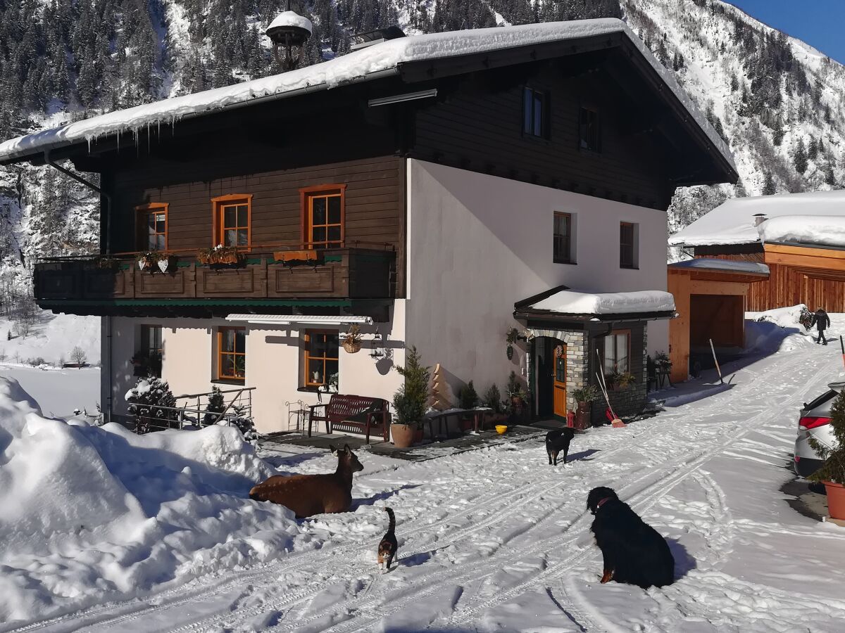 Holiday apartment Kleintierhof Seidl-Eder - Outdoor photo 4