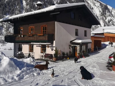 Holiday apartment Kleintierhof Seidl-Eder - Outdoor photo 4