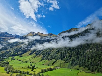 Holiday apartment Kleintierhof Seidl-Eder - Outdoor photo 12