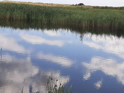 Holiday house 6 Personen Ferienhaus in Hals-By Traum - Outdoor photo 23