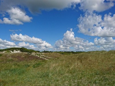 Holiday house 6 Personen Ferienhaus in Hals-By Traum - Outdoor photo 25