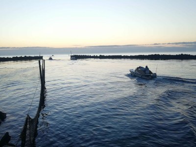 Holiday house 6 Personen Ferienhaus in Hals-By Traum - Outdoor photo 35