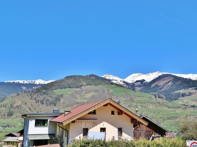 Apartment Wohnung in Niedernsill nahe Skipisten - Outdoor photo 5