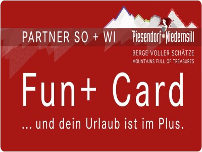 Apartment Wohnung in Niedernsill nahe Skipisten - Outdoor photo 35