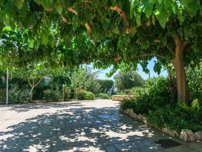 Villa Irini - Environment photo 32