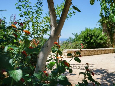 Villa Irini - Environment photo 37