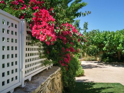 Villa Irini - Environment photo 39