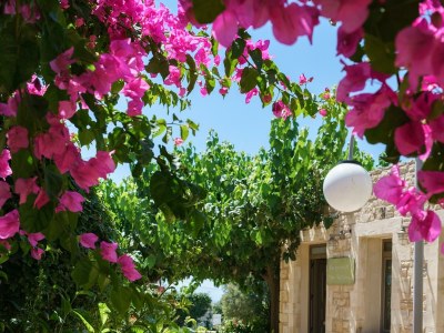 Villa Irini - Environment photo 41