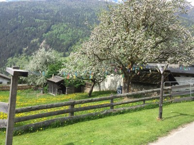 Holiday room ruhiges Doppelzimmer - Outdoor photo 6