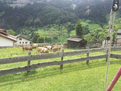 Holiday room ruhiges Doppelzimmer - Outdoor photo 21