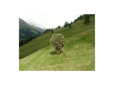 Holiday room ruhiges Doppelzimmer - Features photo 36