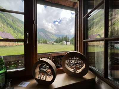 Holiday room Doppelzimmer Anna - Features photo 26