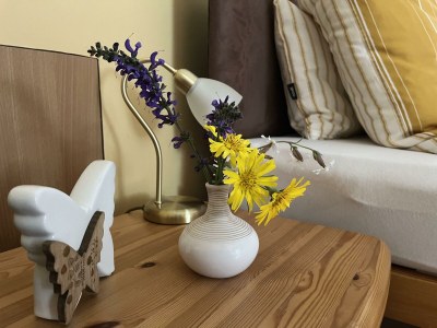 Holiday room Zweibettzimmer Johann - Features photo 25