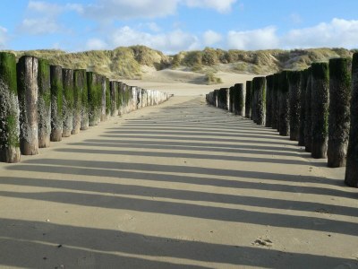 Apartment Penthouse in Cadzand-Bad am Strand - Environment photo 25