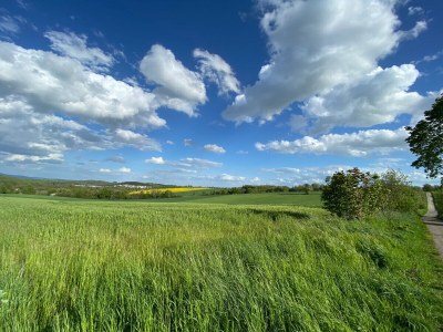 Holiday house No title - Environment photo 38