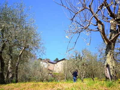 Holiday house Ferienhaus in Lucca mit Pool und Talblick - Outdoor photo 2