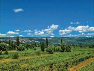 Holiday house Home Near Red Lake in Ricice - Environment photo 33