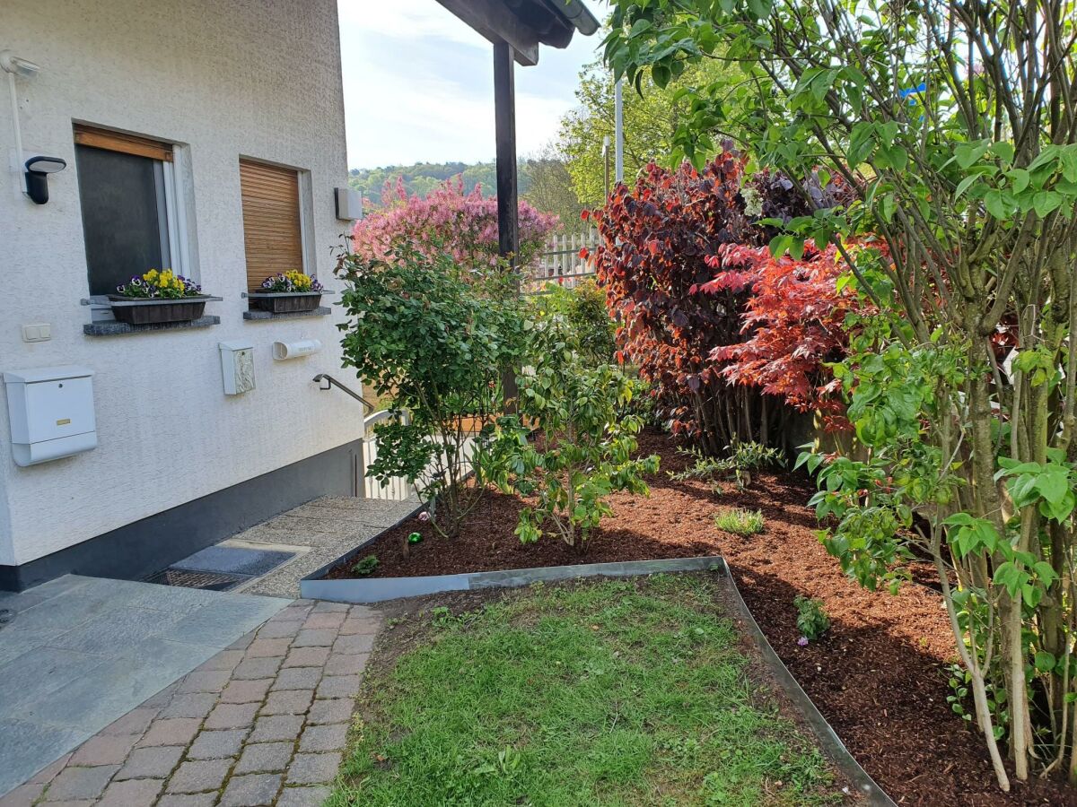 Apartment Ferienwohnung Schlossblick