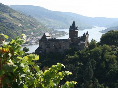 Apartment Ferienwohnung 1 - "Riesling" - Outdoor photo 10