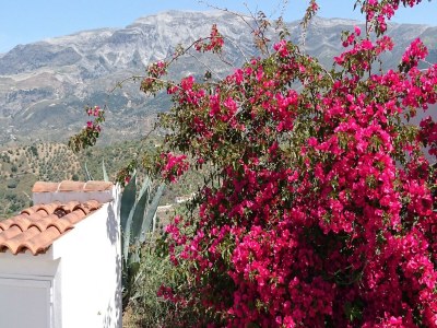 Villa Mediterranean View Villa - Outdoor photo 40