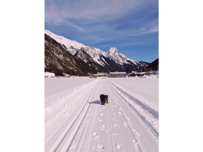 Holiday apartment Apart Sopherl 5-8 PAX - Environment photo 20