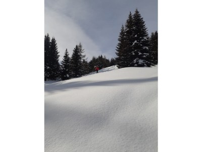 Holiday apartment Apart Sopherl 5-8 PAX - Environment photo 25