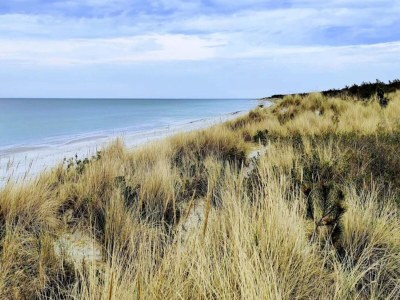 Holiday house 6 Personen Ferienhaus in Nykøbing Sj-By Traum - Outdoor photo 8