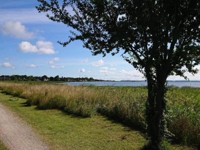 Holiday house 6 Personen Ferienhaus in Nykøbing Sj-By Traum - Outdoor photo 10