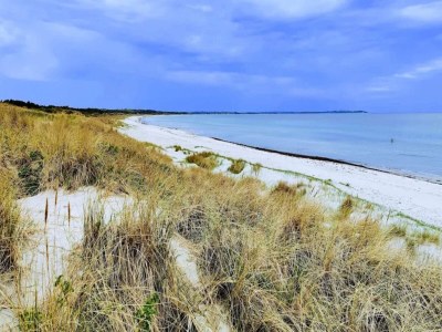 Holiday house 6 Personen Ferienhaus in Nykøbing Sj-By Traum - Outdoor photo 30