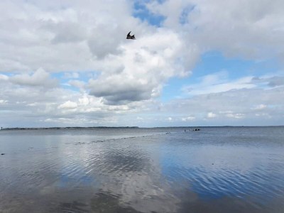 Holiday house 6 Personen Ferienhaus in Nykøbing Sj-By Traum - Outdoor photo 37