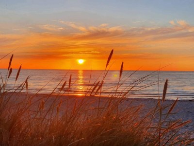 Holiday house 6 Personen Ferienhaus in Nykøbing Sj-By Traum - Outdoor photo 42