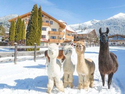 Apartment Lechtal Top 11 - Outdoor photo 31