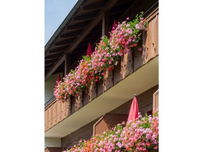 Apartment Apartment mit 1 Schlafzimmer 55m² - Outdoor photo 25