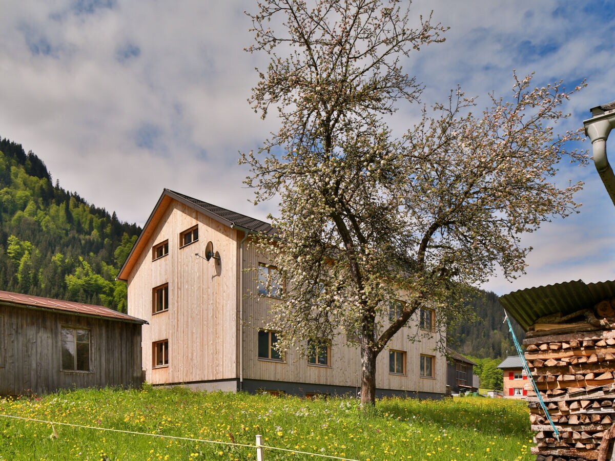 Holiday apartment Bergreich Apartment 1 - Outdoor photo 3