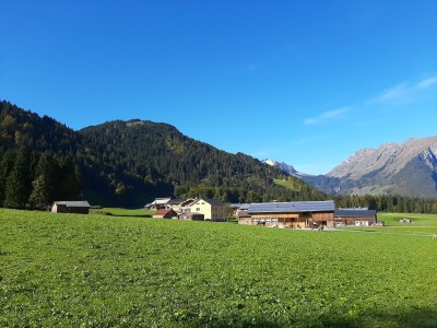 Holiday apartment Bergreich Apartment 1 - Outdoor photo 10