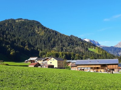 Holiday apartment Bergreich Apartment 1 - Outdoor photo 11