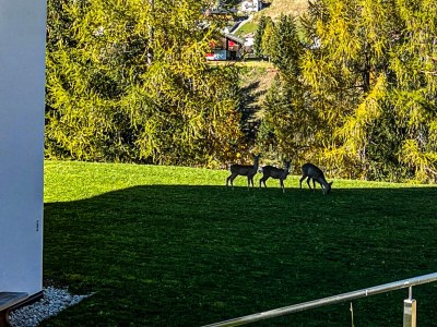 Holiday apartment Ronch - Outdoor photo 8