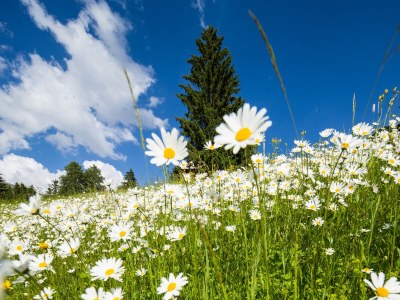 Holiday apartment Ronch - Outdoor photo 9