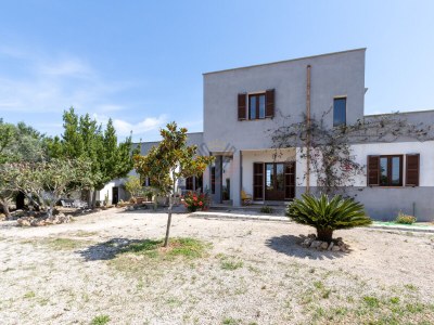 Finca Believet [2272A] - Outdoor photo 14