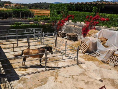 Finca Casa Antonio [4383A] - Outdoor photo 10