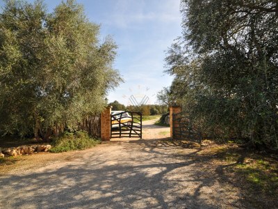Finca Xim Vell [1252A] - Outdoor photo 13