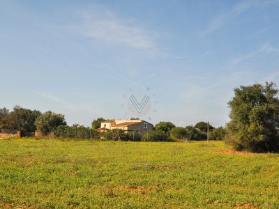Finca Xim Vell [1252A] - Outdoor photo 14