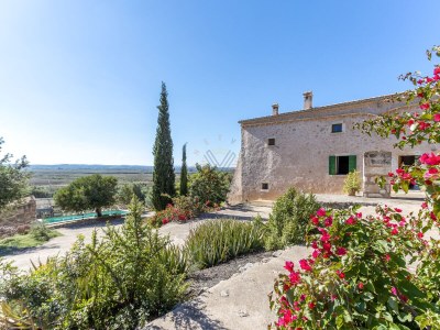 Finca Na Bassera [1690A] - Outdoor photo 7