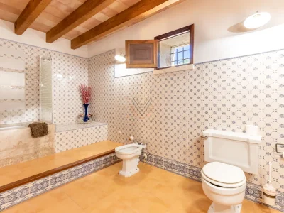 Finca Na Bassera [1690A] - Features photo 20