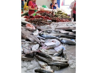 Apartment T2 Avenida 1º VISTA MAR 5* A/C WI-FI 6 PESSOAS - Outdoor photo 38