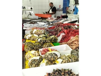 Apartment T2 Avenida 1º VISTA MAR 5* A/C WI-FI 6 PESSOAS - Outdoor photo 40