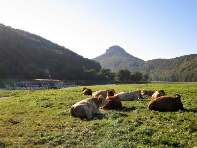 Holiday house Burkhaeusel - Environment photo 9