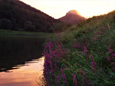 Holiday house Burkhaeusel - Environment photo 13