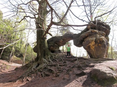 Holiday house Burkhaeusel - Environment photo 16