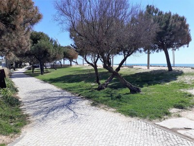 Apartment T1 Avenida Mar 8 200M PRAIA WI-FI 4 PESSOAS - Environment photo 27